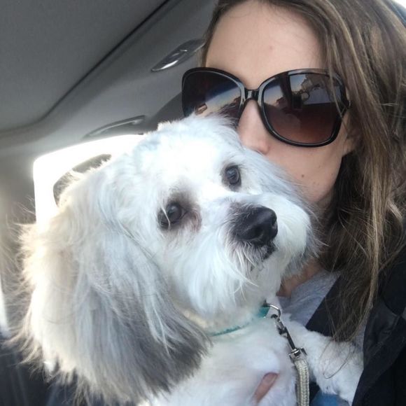 Meet your Posher, Rylee - Picture 1 of 1